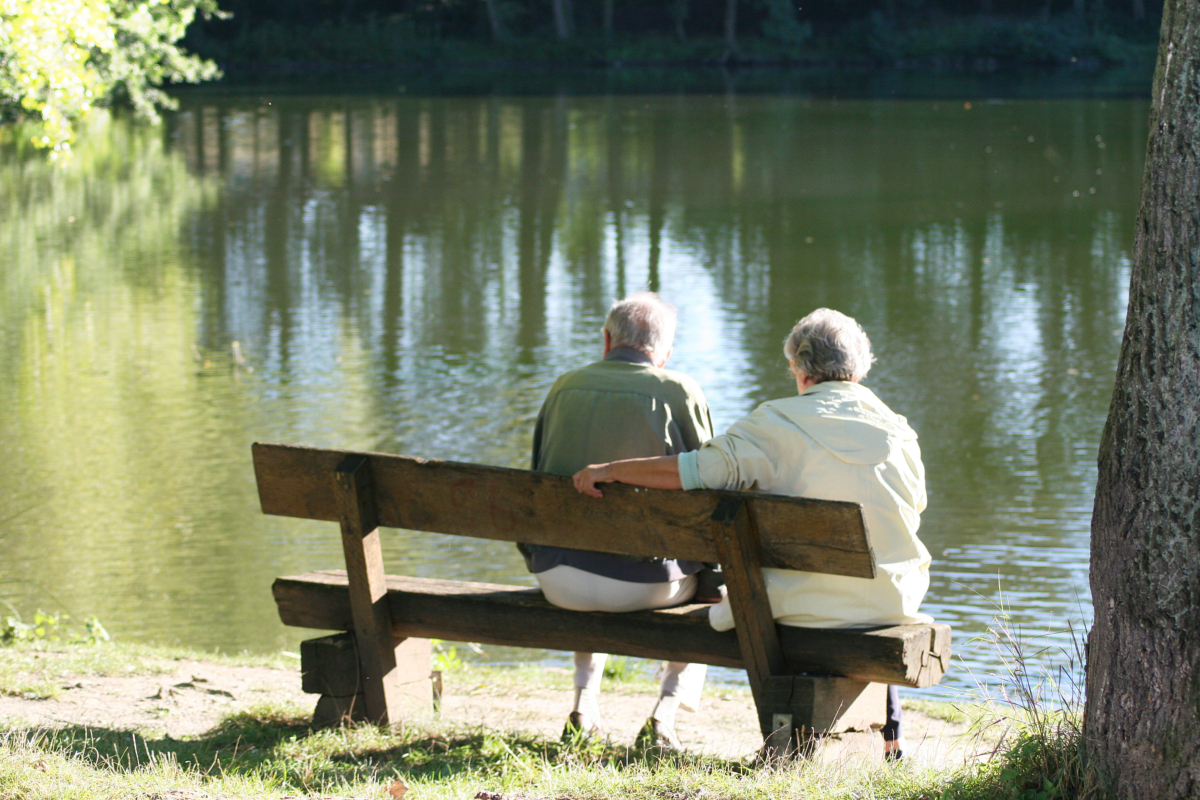 Versicherungsverband begrüßt Bekenntnis der Bundesregierung zur Stärkung der zweiten Säule – weitere Reformschritte notwendig; Foto: Adobe/VVO